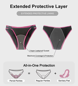 Ropa Interior Menstrual con Cierre de Gancho Lateral Ajustable Personalizada OEM, Cintura Baja, Transpirable, Reutilizable, a Prueba de Fugas, para Mujeres - Product Image 2