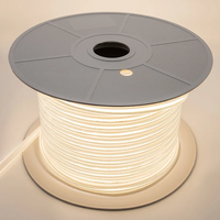 Bande Néon COB AC 110V Direct Usine 288 LED/M Ra90 CRI90 Dimmable 50000H pour Façade, Escalier, Plinthe