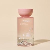 Ensemble diffuseur roseau de luxe style simple bouteille en verre rose décor à la maison désodorisant parfum avec huile parfumée coffret cadeau ODM/OEM