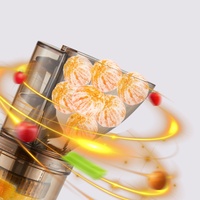 Hete Aanbieding Commerciële Automatische Multifunctionele Push-Free Fruitpers Machine Sapcentrifuge voor Sinaasappel Appel Wortel Gember