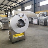 Industriële machine voor het maken van zoete aardappel frietjes, wortel- en groentechips, en het snijden van aardappelreepjes; productielijn voor aardappelchips.