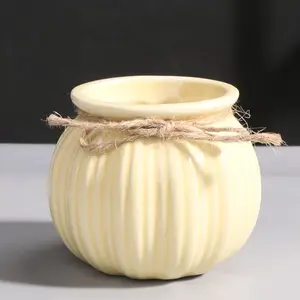 Style minimaliste attaché avec ficelle pot de fleur gris coloré en céramique