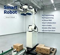 Robot de Paletización Inteligente sin Necesidad de Programación, Robot de Apilamiento para Sistema de Producción de Empaquetado de Bebidas y Granos
