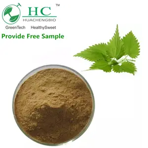 4:1,10:1,15:1 Ekstrak Nettle Herb Bubuk Menyengat Nettle Extract