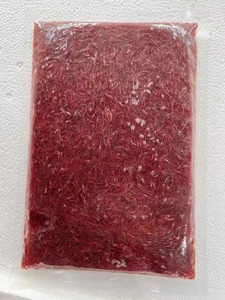 Gusanos rojos congelados, gusano de sangre, 500g, plano - Product Image 3