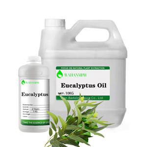 Olio Essenziale di Eucalipto Citriodora 100% Puro Naturale Biologico all'Ingrosso - Product Image 3
