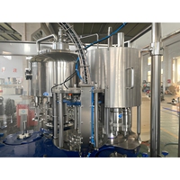 Machine de remplissage de bouteilles en verre contrôlée par PLC intelligent, solution d'emballage robuste par gravité pour les boissons au thé et au café