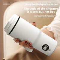Bouilloire Électrique Portable 300W avec Indicateur LED, 0,5L, Arrêt Automatique, Base Rotative 360°, Classe Énergétique A, en Plastique, pour Hôtel, Camping-Car, Maison, OEM, Multilingue