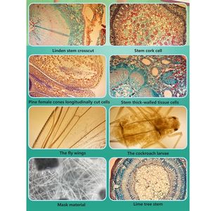 <span class=keywords><strong>iPhone</strong></span> スマートフォン用ユニバーサルマイクロレンズ 400X デジタル携帯電話電子顕微鏡レンズカメラ 皮膚昆虫用 - Product Image 6