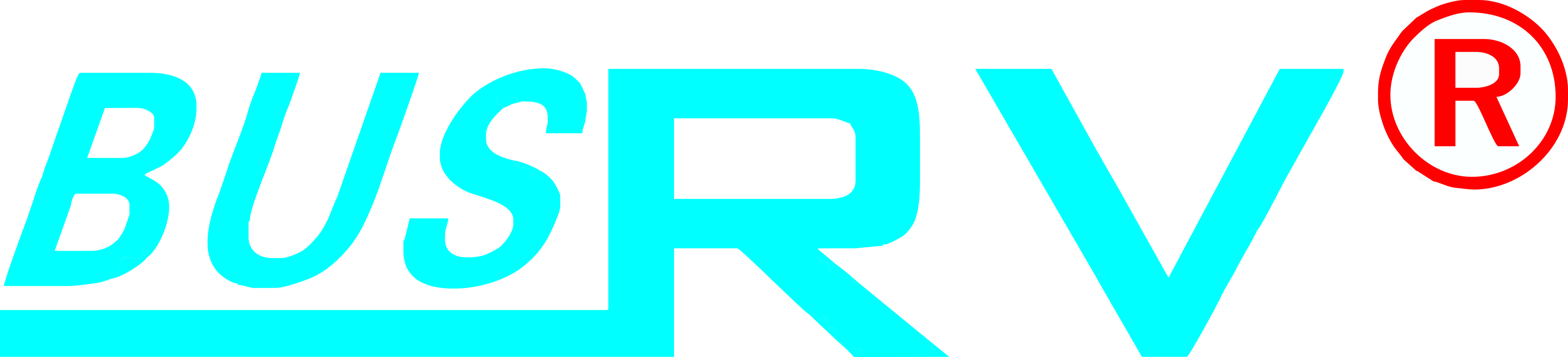 BUSRV CO.,Ltd logo