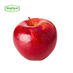 Manzanas frescas Manzanas Rojas deliciosas a la venta/Compre manzanas Fuji rojas a granel