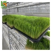 Système agricole de conteneur d'expédition de ferme intelligente de serre hydroponique de conteneur pour le pâturage