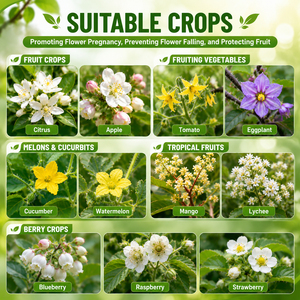 Engrais liquide <span class=keywords><strong>foliaire</strong></span> à base d'acides aminés 100g/L, biostimulant haute efficacité, promoteur de fleurs, pour favoriser la formation de bourgeons - Product Image 3