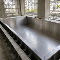 Piscine hors sol de 25 m avec parois en acier galvanisé et structure en acier inoxydable pour usage familial extérieur, design moderne et personnalisé