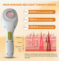 Appareil laser thérapeutique portatif puissant de classe IV à lumière rouge pour la podologie vétérinaire et la physiothérapie en clinique