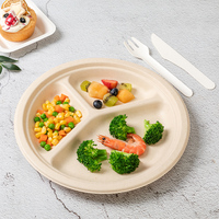 Assiette blanche de 9 pouces Assiettes de restaurant Canne à sucre Bagasse plate Assiette alimentaire kraft jetable