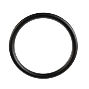 New Product Factory Hot Sale Heat and Water Vapor Resistant FFKM/FFPM Fluorine Rubber O-ring Sealing Rings