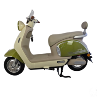 Sepeda Motor Listrik Berkualitas Tinggi Harga Terjangkau 1000W 60V Baterai Lithium Skuter Listrik Roda Dua