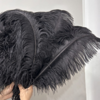 Plumes d'autruche noires à plumes complètes de 10 à 30 pouces, motif teint multicolore, pour décoration de carnaval, mariage, scène, costume