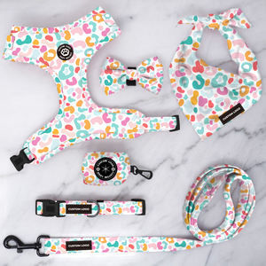 宠物精品少女狗带市场商场购买小狗配件项圈和皮带套件大狗定制品牌标志 - Product Image 2