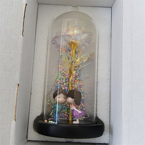 Thiên Hà Hoa Hồng Đèn Lồng Các Bà Mẹ Ngày Quà Tặng Trong Thủy Tinh Dome Với LED Ánh Sáng Mê hoặc Infinity Pha Lê Hoa Trang Trí Nội Thất Màu Trắng 2Pcs - Product Image 6