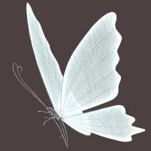 बड़े सफेद गर्म एलईडी सजावटी रोशनी धातु तितली विंग चरण शादी समारोह की सजावट के लिए छत - Product Image 5