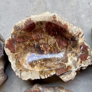 Bois pétrifié naturel poli fossile cristal tranche sous-verre spécimen minéral bol fossile en bois pour la décoration - Product Image 2