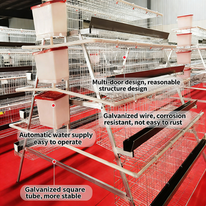 Jaula de gallinas ponedoras tipo A galvanizada para 160 aves, equipo para granjas avícolas comerciales africanas - Product Image 6