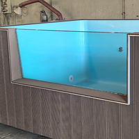 Piscine conteneur compacte en acier pour espaces extérieurs résidentiels