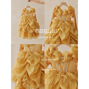 Vestido de Princesa Estilo Palacio Bordado Vintage para Niñas, Primavera, Otoño, Invierno, con Mangas Abullonadas, Vestido de Cumpleaños - Product Image 3