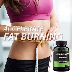 แคปซูลยาลดความอ้วนแอลคาร์นิทีนอาหารเสริมสมุนไพร - Product Image 2
