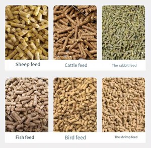 Máy tạo viên thức ăn chăn nuôi công suất cao 220V bằng kim loại mới, 100kg/h, dùng cho nhà máy sản xuất viên thức ăn chăn nuôi - Product Image 6