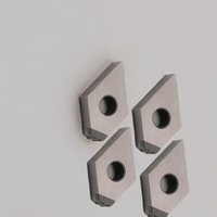 CBN Thread Turning Insert DNGA150405 High Hardness for Cast Iron OEM Customized Stable Performance