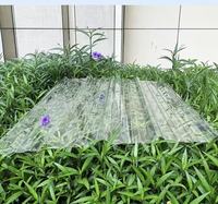 Paneles de Techo Corrugados Transparentes Diseñados para Refugios Agrícolas, Espacios de Trabajo en Jardines y Toldos Exteriores