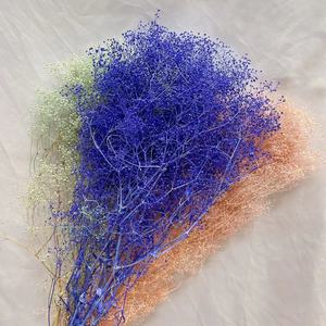 2026 nuovi arrivano fiori di alta qualità milioni di stelle per la decorazione di nozze a casa conservati milioni di stelle per la <span class=keywords><strong>Flora</strong></span> - Product Image 6