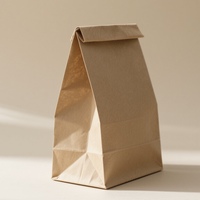 Boîtes en papier kraft personnalisées de haute qualité, écologiques et recyclables, usine de sacs aseptiques imperméables de 2 mm, finition brillante/mate, laminage UV à faible coût