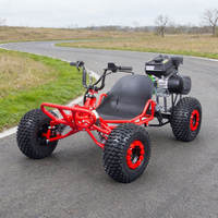 LONGWISE LWGK-208 Nuevo Go Kart de Pedales 208cc 4 Tiempos a Gasolina con Transmisión por Cadena y Freno de Disco Hidráulico para Exteriores 6/7 Pulgadas para Adultos