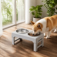 Mangeoire double surélevée à alimentation lente pour chiens et chats