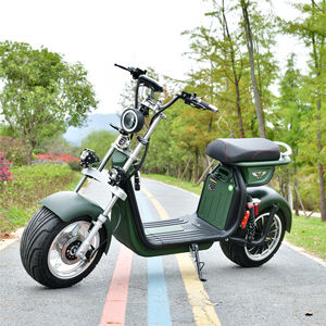 Scooter Eléctrico, Compra de Triciclo, Citycoco de 3000W, Batería de 20AH, EEC, 2 Ruedas - Product Image 6