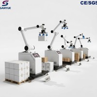 Robot de Paletización de Cartones Planos con Motor Servo de Instalación Rápida y Bajo Mantenimiento, Controlado por PLC, para Distribución en Supermercados