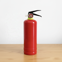 Extincteur portable pour voiture et maison, cylindre personnalisé, mini-extincteurs à poudre sèche DCP pour la protection incendie