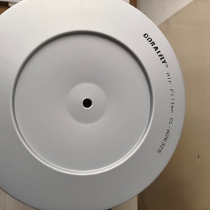 2996154 2992374 AF26325 P786829 PA30235 Filtro de Aire para Camión Iveco - Product Image 6