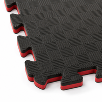 Tapete de Espuma EVA de 20 mm de Grosor, 100x100 cm, para Taekwondo, Karate, Artes Marciales, Antideslizante, Resistente a Impactos, Tatami, Venta al Por Mayor de Fábrica