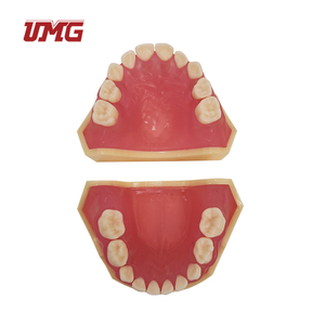 20 dientes removibles, goma suave, modelo de dientes de dentición para niños - Product Image 1