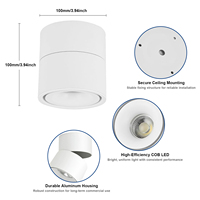 Spot LED orientable 12W Bridgelux CRI90+ à intensité variable pour éclairage commercial et magasins de détail