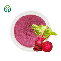 Jiuyuan – Vente en gros de poudre de jus de betterave lyophilisée de qualité alimentaire, marque privée, complément alimentaire super-alimentaire en fût et en bouteille