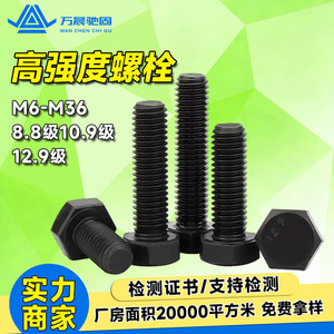 สลักเกลียวหกเหลี่ยมวานเฉิน M6 M12 M24 M36 เกรด 8.8 เหล็กกล้าคาร์บอน ชุบสีดำด้วยการออกซิเดชัน สำหรับงานก่อสร้าง - Product Image 5