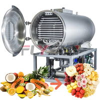 Pompe de séchage automatique sous vide à commande PLC pour machine de séchage alimentaire, fruits, fraises, bananes, pitayas