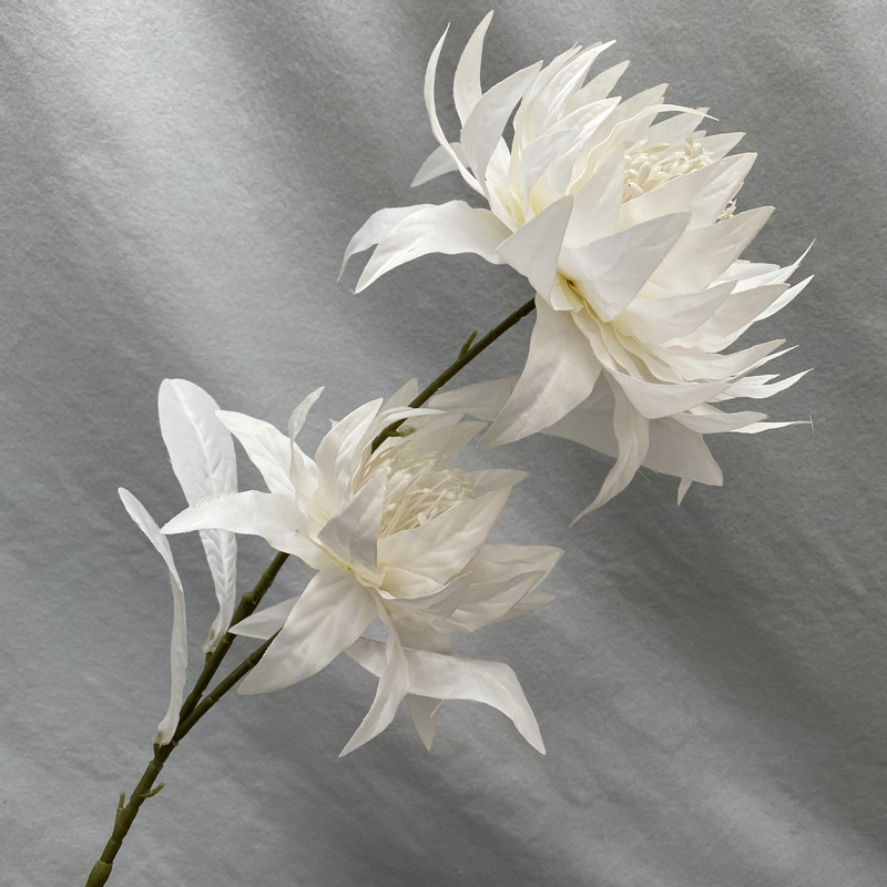 Blanc