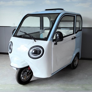 Triciclo Elettrico Personalizzato, Triciclo Elettrico Chiuso, Triciclo Elettrico a Tre Ruote, Scooter Elettrico, Chopper con Sidecar - Product Image 5